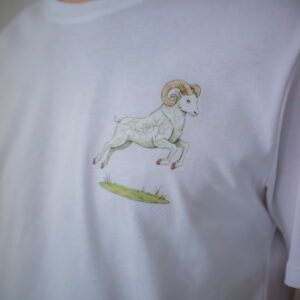 T-shirt blanc – IMPULSIF – homme