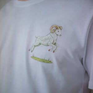T-shirt blanc – IMPULSIF – homme
