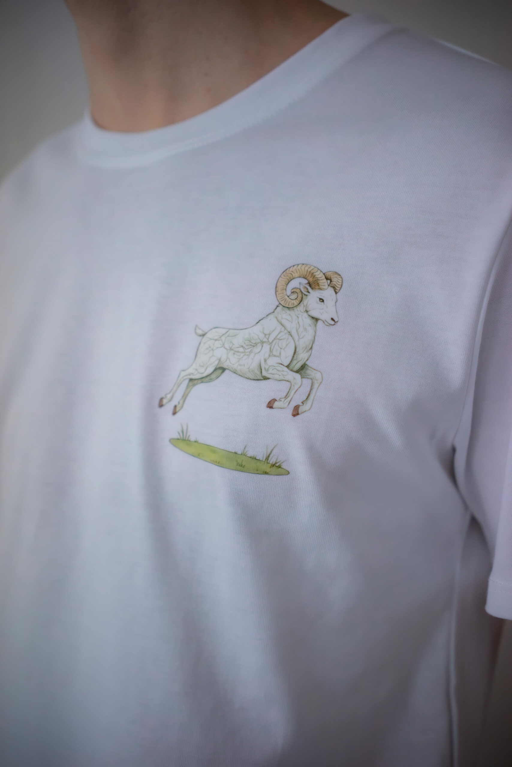 t-shirt-blanc-homme-impulsif-mokalin-01